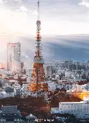 东京战役：东京夜晚队轻松碾压樱桃队