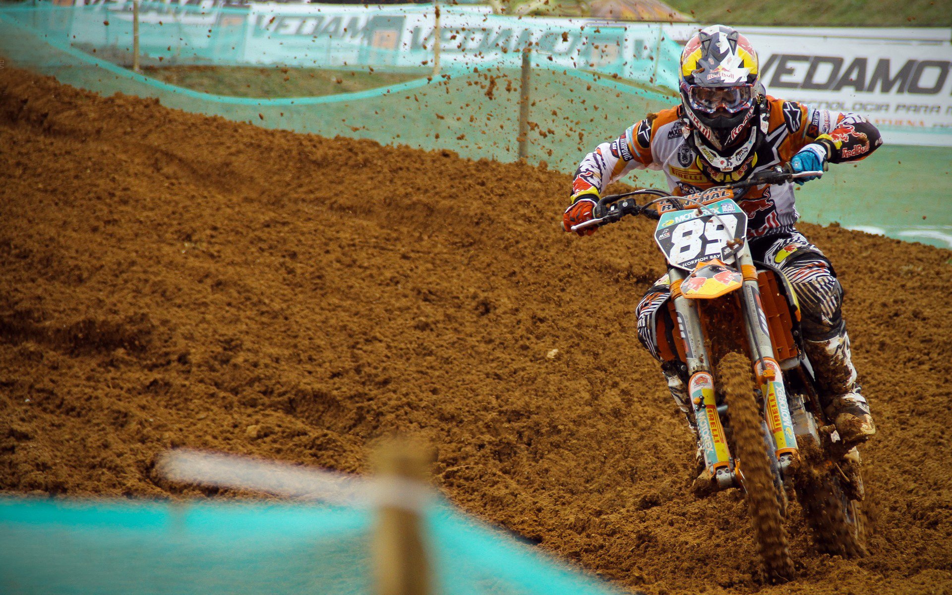 唯一的剧本，2026之夏，当郁金香刺穿迦太基，穆西亚拉写下永恒绝句